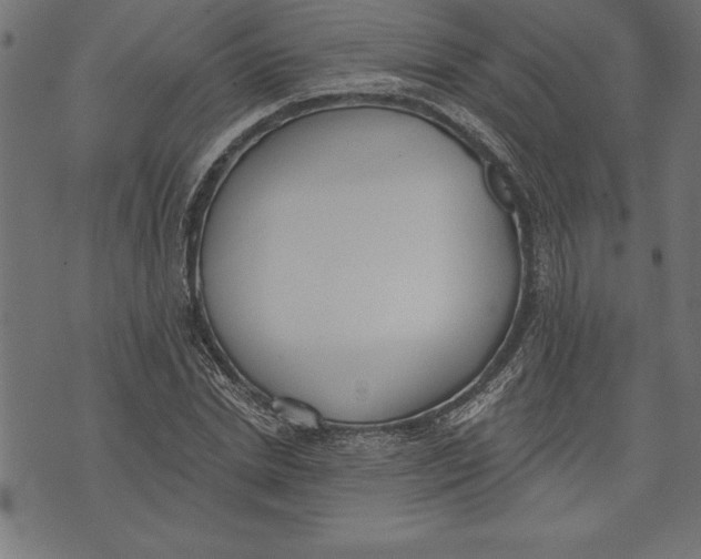 X0000073480830200608211623