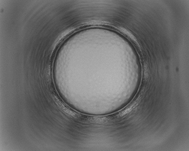 X0000073480831200608211623