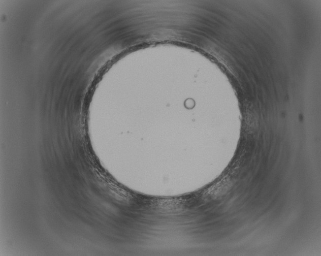 X0000073480832200608211623