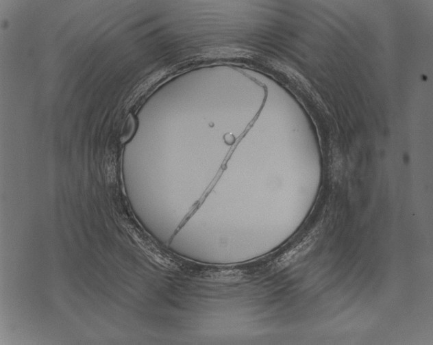 X0000073480833200608211623