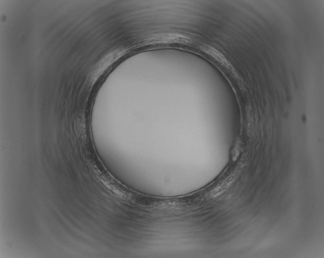 X0000073480834200608211623