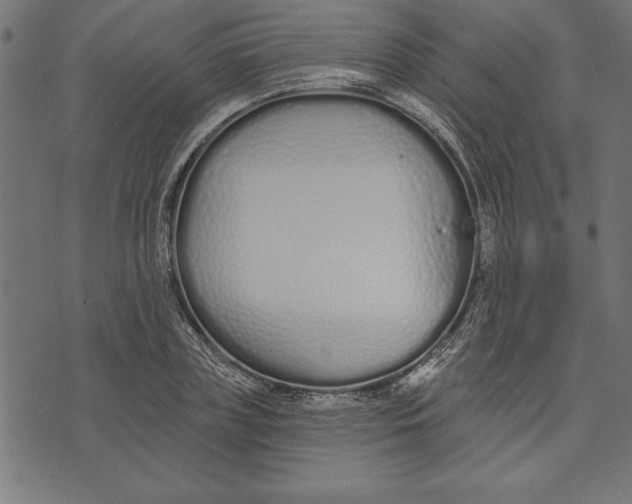 X0000073480835200608211623