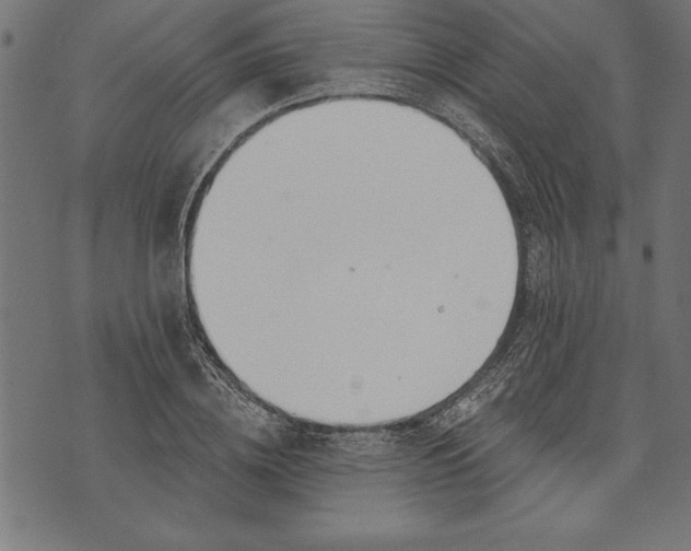 X0000073480836200608211623