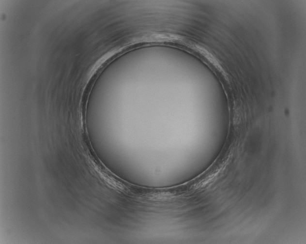 X0000073480837200608211623