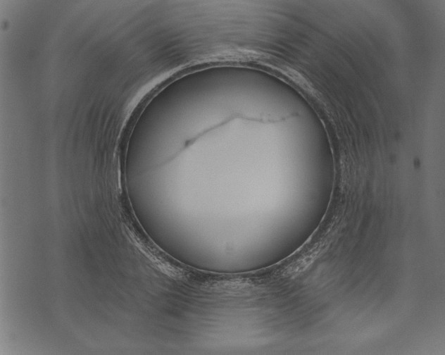 X0000073480838200608211623