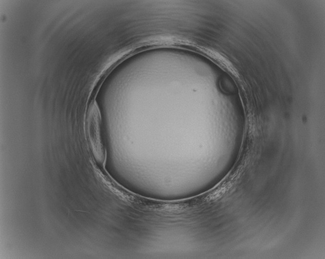 X0000073480839200608211623