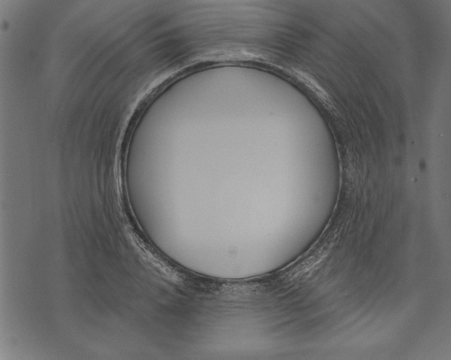 X0000073480840200608211623