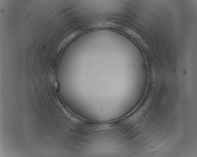 X0000073480841200608211623