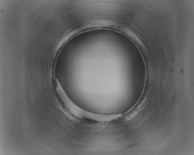 X0000073480842200608211623