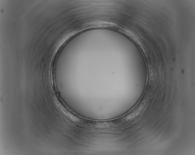 X0000073480843200608211623