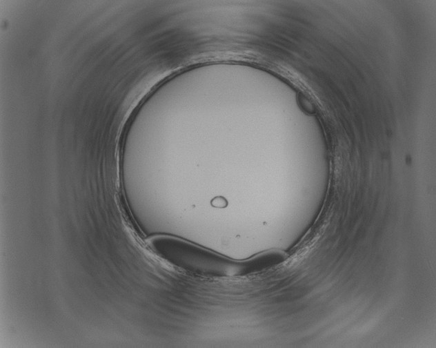 X0000073480844200608211623