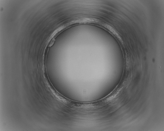 X0000073480845200608211623