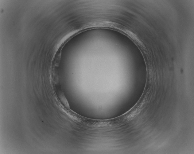 X0000073480846200608211623