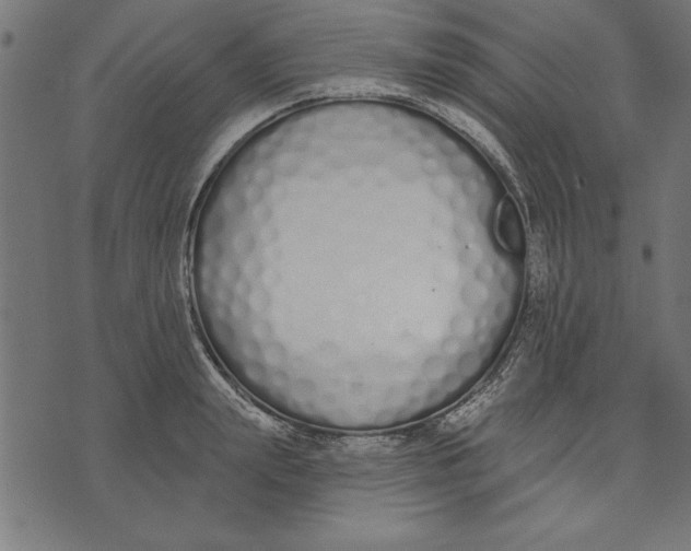 X0000073480847200608211623