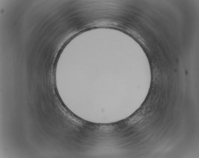 X0000073480848200608211623