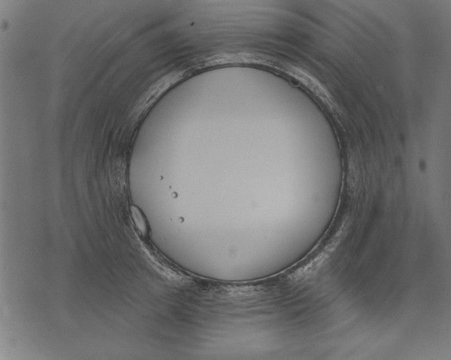 X0000073480849200608211623