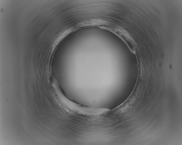 X0000073480850200608211623