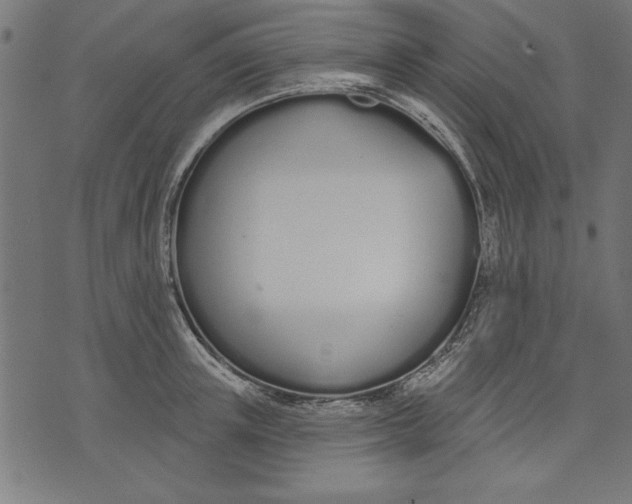 X0000073480851200608211623