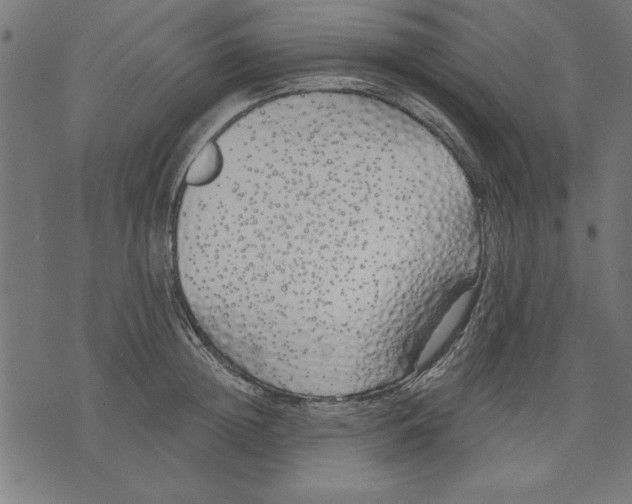 X0000073480852200608211623