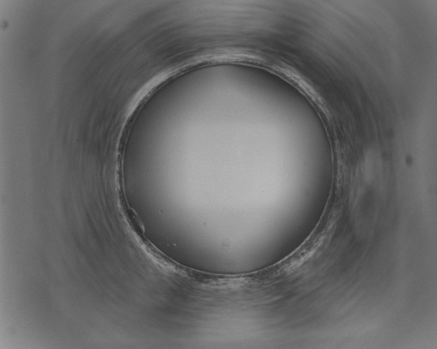 X0000073480853200608211623