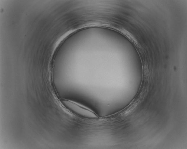 X0000073480854200608211623