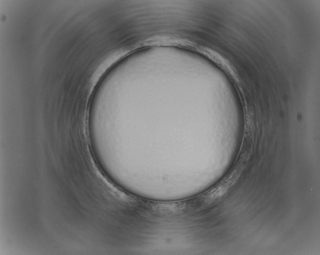 X0000073480855200608211623