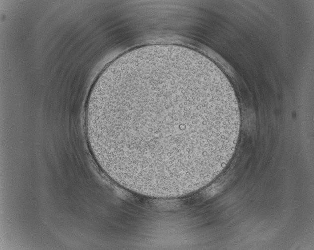 X0000073480856200608211623