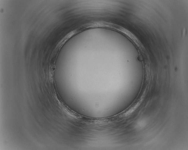 X0000073480857200608211623