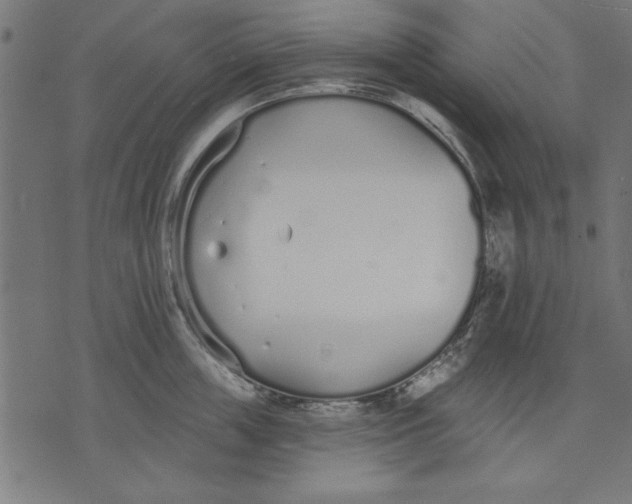 X0000073480859200608211623