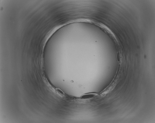 X0000073480860200608211623