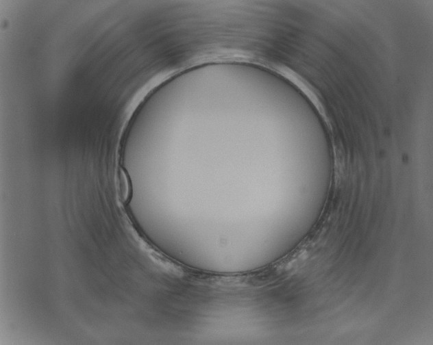 X0000073480861200608211623