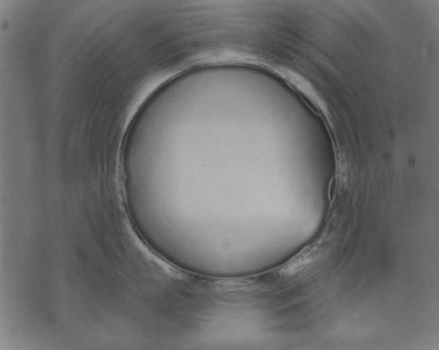 X0000073480863200608211623