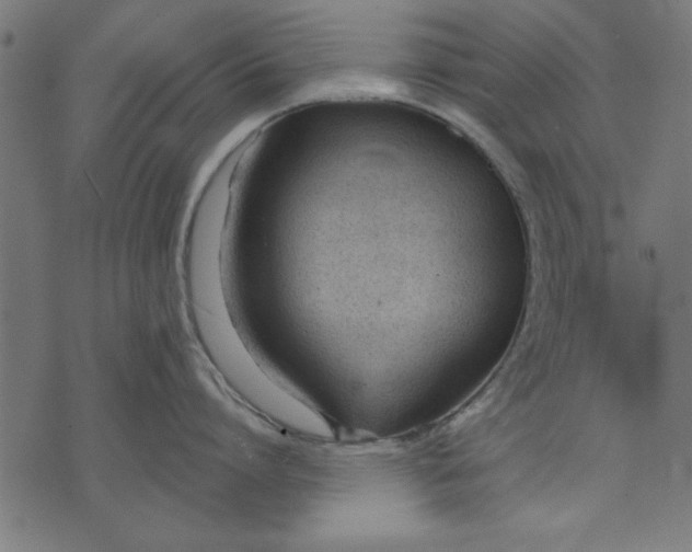 X0000073480864200608211623