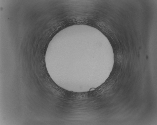 X0000073480865200608211622