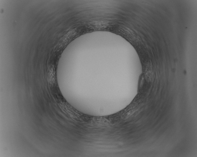 X0000073480866200608211622