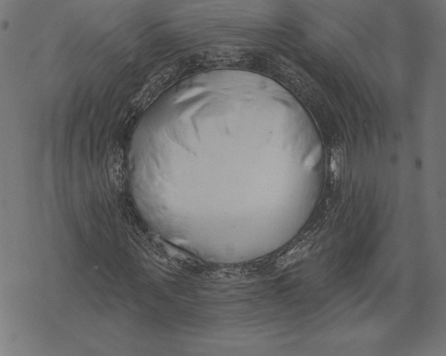 X0000073480867200608211622