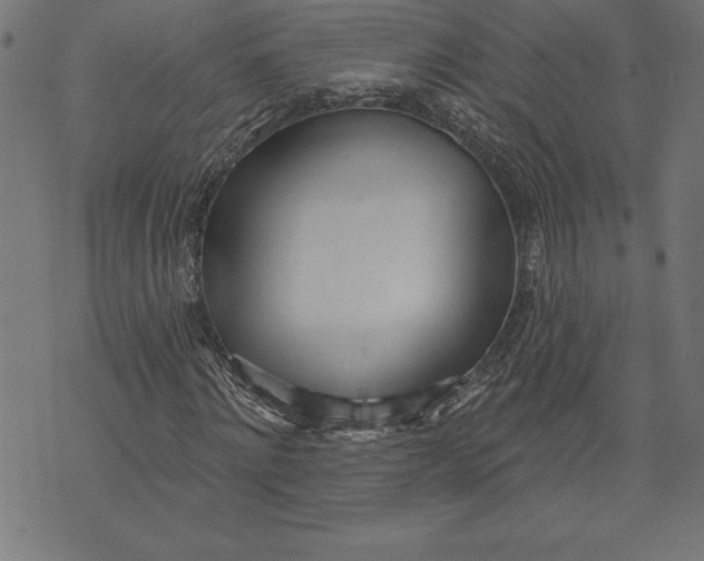 X0000073480868200608211622