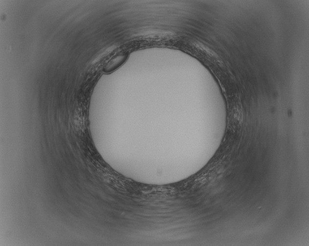 X0000073480869200608211622