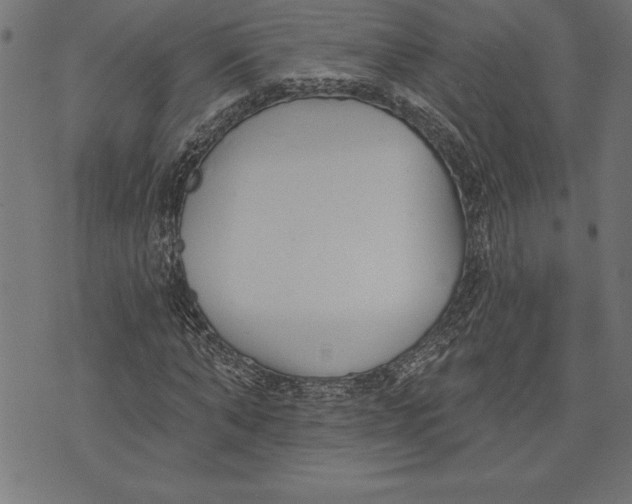 X0000073480870200608211622