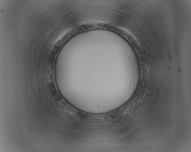 X0000073480871200608211622