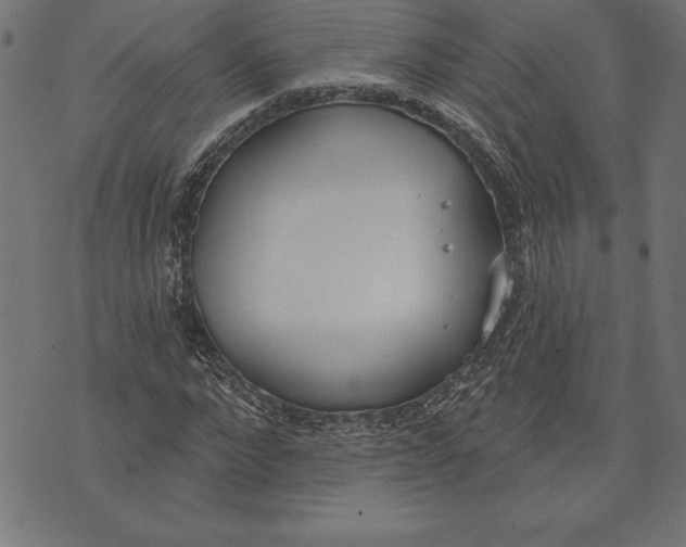 X0000073480872200608211622