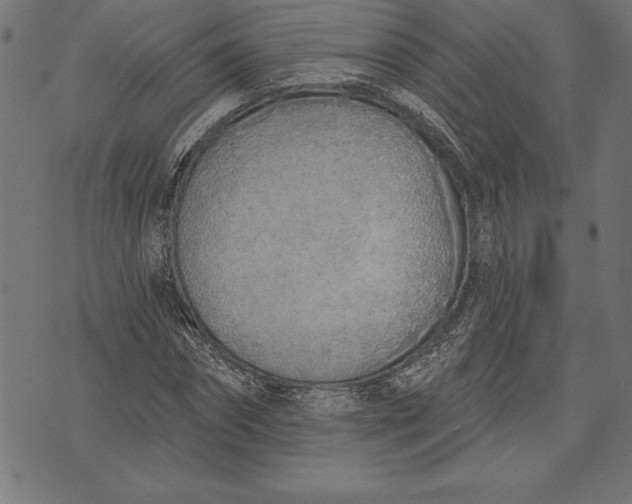 X0000073480874200608211622