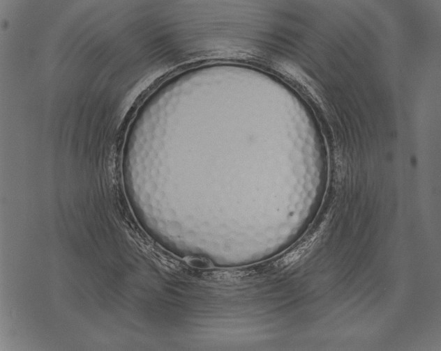 X0000073480875200608211622