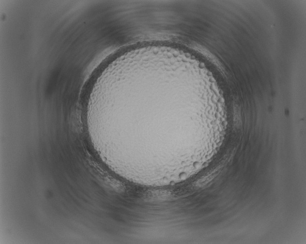 X0000073480878200608211622