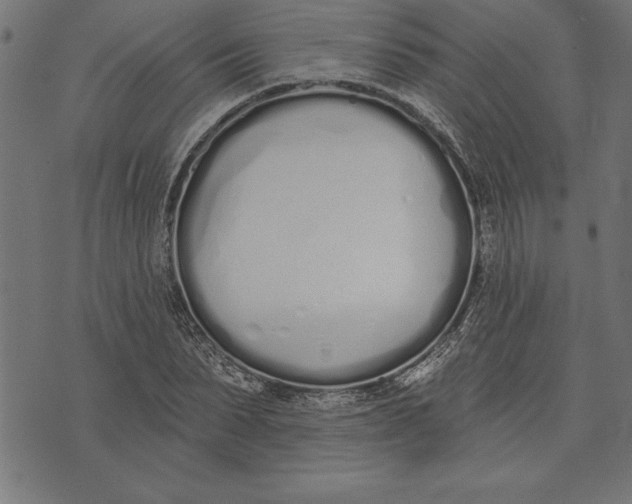 X0000073480879200608211622