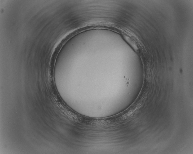 X0000073480880200608211622