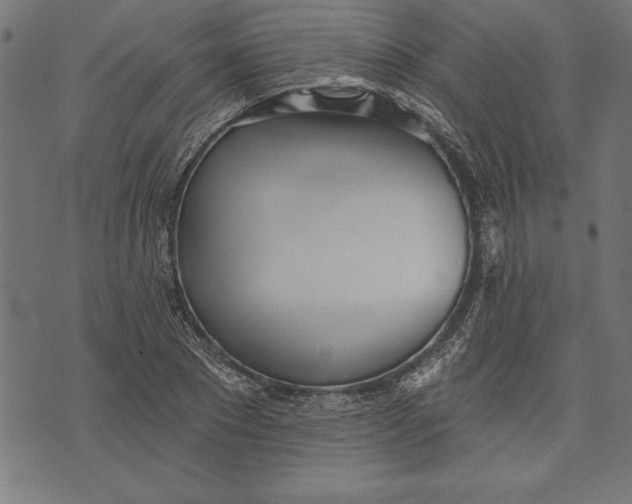 X0000073480881200608211622