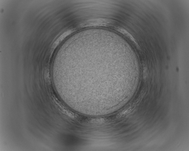 X0000073480882200608211622