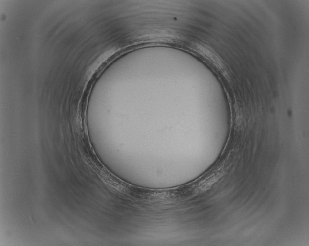 X0000073480883200608211622