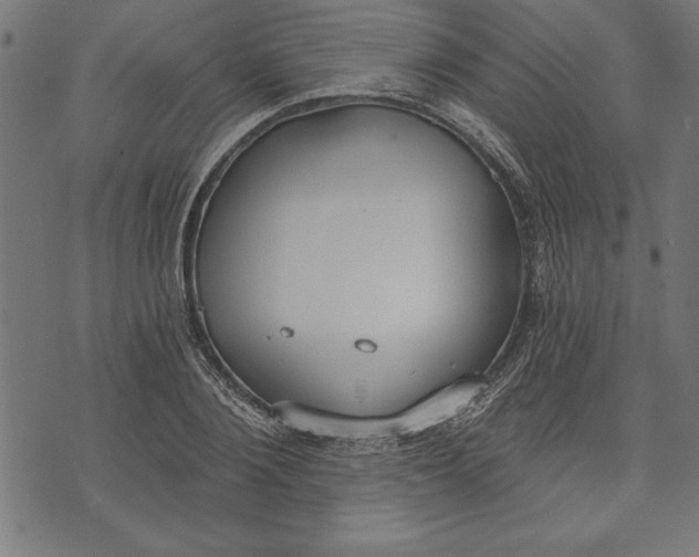 X0000073480884200608211622